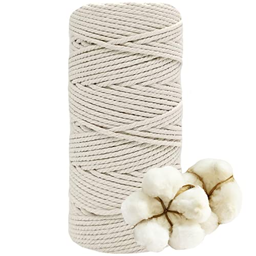 DXRPO Makramee Garn 3mmx100m, Baumwollgarn Makramee, Macrame Cord für DIY Makramee Wandbehang, Makramee Blumenampel, Weihnachten Deko, Geschenke für Gute Freunde, Pflanze Aufhänger Boho Deko, Beige DXRPO Makramee Garn 3mmx100m, Baumwollgarn Makramee, Macrame Cord für DIY Makramee Wandbehang, Makramee Blumenampel, Weihnachten Deko, Geschenke für Gute Freunde, Pflanze Aufhänger Boho Deko, Beige von DXRPO