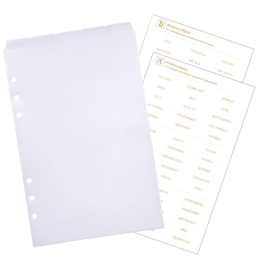 DY.2ten Plastik Ordner Register A5,Transparent Trennstreifen für Ordner mit 6 Loch, Index ​Teiler blanko für Ringbuch,Loseblatt Notizbuch, Planer，Mit Aufklebern von DY.2ten