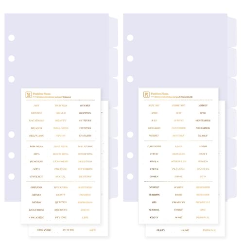 DY.2ten transparent Ordner Trennblätter A6 6 Loch 12 Blätter / 2 Sets, Kunststoff Ordner Register A6 Index ​Teiler für Ringbuch,Notizbuch,Planer(17cm x 9.4cm) von DY.2ten