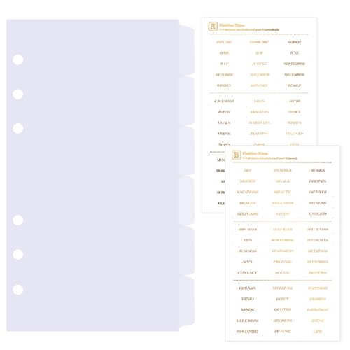DY.2ten transparent Ordner Trennblätter A6 6 Loch 6 Blätter, Kunststoff Ordner Register A6 Index ​Teiler für Ringbuch,Notizbuch,Planer(17cm x 9.4cm) von DY.2ten