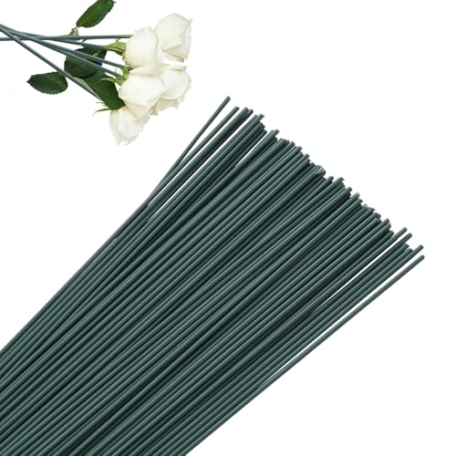 80 Stück Blumenstängel Draht, 2mm x 30cm Grün Lackierter Blumendraht, Blumenarrangements Floristendraht, Vorgeschnittene Zuckerblumendraht, Flexibler Blumenstieldraht für Handwerkliche Basteln 80 Stück Blumenstängel Draht, 2mm x 30cm Grün Lackierter Blumendraht, Blumenarrangements Floristendraht, Vorgeschnittene Zuckerblumendraht, Flexibler Blumenstieldraht für Handwerkliche Basteln von DYMHQ