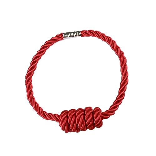 DYYEUAVT 2 Stück Vorhang Raffhalter Magnetische Vorhang Raffhalter Vorhänge Holdbacks Vorhang Zubehör Dekorative Gardinen Holdbacks(Color 10) von DYYEUAVT