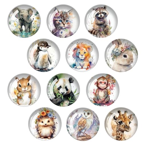 12 Stück Kühlschrank Magnete Kinder Magne Süße Tiere Magnete Bunt Kinder Glascabochons Magnet Deko Geeignet zum Dekorieren von Kühlschränken,Whiteboards,Küchen,Büros(B) von DabbOo