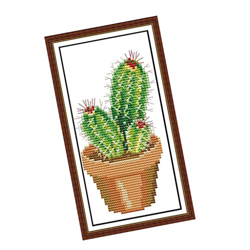 dailymall Kreuzstich Stickpackung vorgedruckt Stickbild Stickvorlage Sticken Stickset mit Anleitung - Wunderschöne Kaktus von Daily Mall