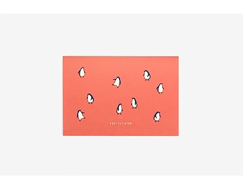 Dailylike Pinguin-Album-Karte, 16,2 x 11,2 cm. von Dailylike