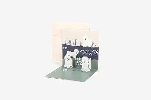 Dailylike Pop Up Bichon Frise Karte 11 x 11 cm, inklusive Umschlag 11,7 x 11,7 cm. von Dailylike