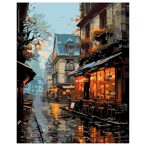 Malen Nach Zahlen Erwachsene, DIY Paint by Numbers für Anfänger und Erwachsene, Malen Nach Zahlen Set für Home Décor,Ohne Rahmen 40x50cm von Daisen Art
