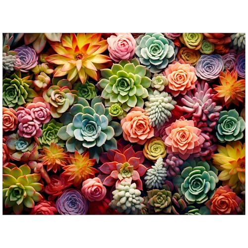 Sukkulent Diamond Painting Erwachsene Diamant Painting Bilder Handgefertigtes DIY-Leinwand-Volldiamant Sukkulent Diamond Painting Set für erwachsene Anfänger 30x40cm (Sukkulent) von Daisen Art