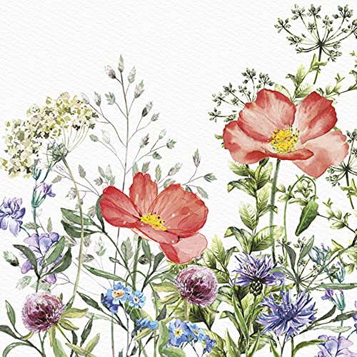DAISY 3-lagige Papierservietten mit Frühlingsblumen, für Serviettentechnik, Mittagessen, 33 cm x 33 cm, 20 Stück (Wiese im Juni) von Daisy