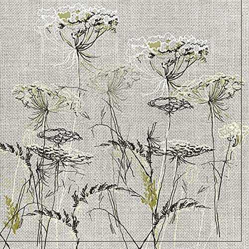 DAISY 3-lagige Seidenpapierservietten für Decoupage, 33 x 33 cm, 20 Stück (Achillea-Skizze auf Leinen-Hintergrund) von Daisy