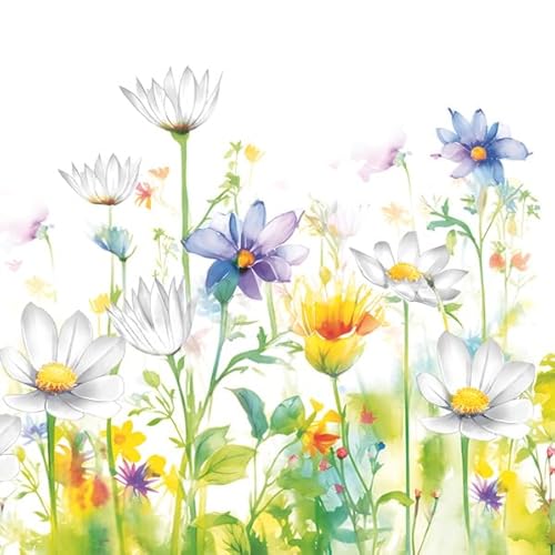 Daisy 3-lagige Seidenpapier-Servietten mit Frühlingsblumen, für Serviettentechnik, Mittagessen, 33 cm x 33 cm, 20 Stück (schöne Blumenwiese) von Daisy