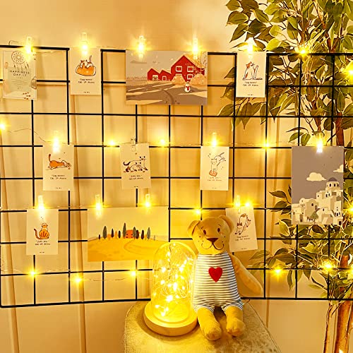 Dalugo Lichterkette Fotoclips, 2M 20 LED Lichterkette mit Klammern für Fotos, Batteriebetrieben Foto Lichterkette für Valentinstag, Hochzeiten, Geburtstagsparty, Hochzeitstag von Dalugo