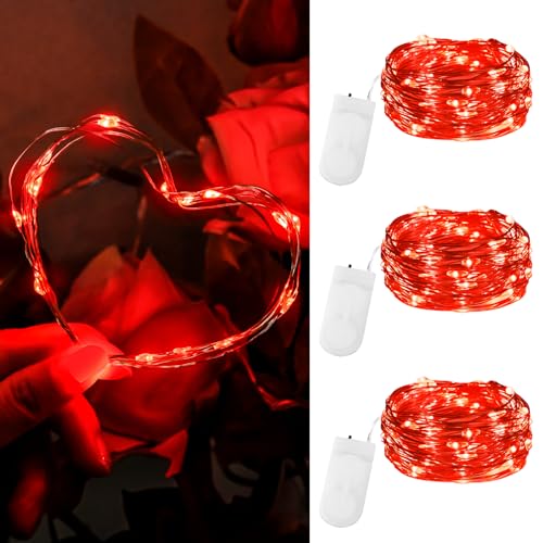 Dalugo Lichterkette Batterie Valentinstag 2m 20 LED Rot Lichterkette mit Batterie, Mini Rote Lichterkette für Tüllrock, Hochzeitstag, Schlafzimmer [3 Stück] von Dalugo