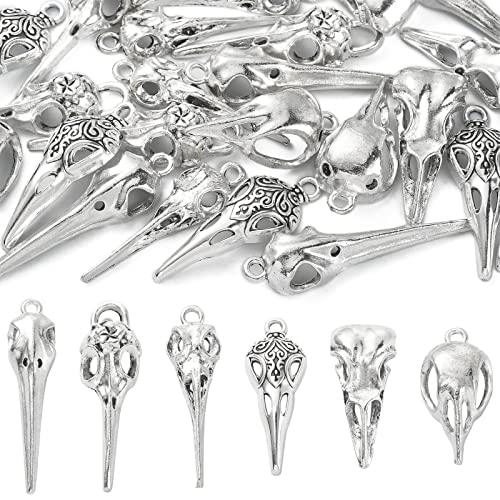 DanLingJewelry 30 Stück 6 Stile Antik Silber Rabe Totenkopf Vogel Kopf Skelett Charms für Halloween Schmuckherstellung Basteln von DanLingJewelry