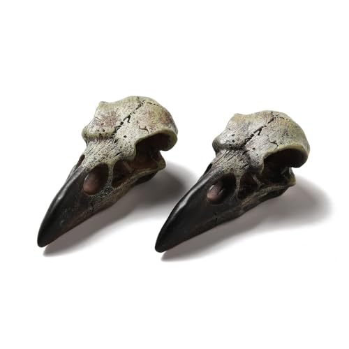 DanLingJewelry Halloween-Rabenschädel-Figuren, Gothic-Tierschädel, Dekoration, Mini-Krahenskelett, Ornamente für DIY-Halsketten, Schmuckherstellung, Heimdekoration, 5 Stück DanLingJewelry Halloween-Rabenschädel-Figuren, Gothic-Tierschädel, Dekoration, Mini-Krahenskelett, Ornamente für DIY-Halsketten, Schmuckherstellung, Heimdekoration, 5 Stück von DanLingJewelry