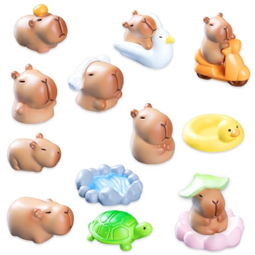 13 Stück Capybaras Figurens Tortendeko,Mini Capybara Tortendeko,Cartoon-Tier Geburtstag Deko,Mikro Landschaft Gartendekoration,Für Miniaturlandschaft Kuchen Desktop Garten Ornament von Danbghyuo