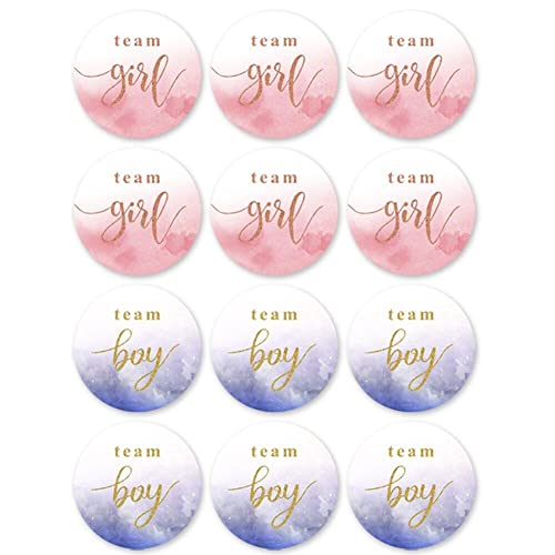 Danlai 120pcs Geschlecht Enthüllen Aufkleber Jungen Oder Mädchen Aufkleber Für Geschlecht Enthüllung Party Dekoration Babypartyzubehör Geschenkbox Label von Danlai