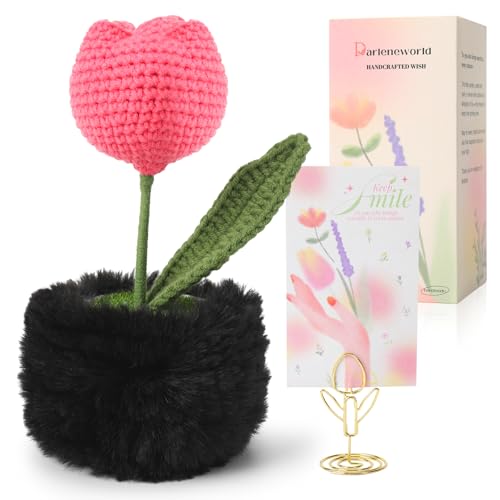 Handgefertigte positive Gartenpflanze Tulpe Häkelarbeit – gestrickte Tischdekoration für Schreibtisch, Büro, Zuhause, inspirierende Heimdekoration mit erhebender Nachrichtenkarte – Geschenk für Frauen Handgefertigte positive Gartenpflanze Tulpe Häkelarbeit – gestrickte Tischdekoration für Schreibtisch, Büro, Zuhause, inspirierende Heimdekoration mit erhebender Nachrichtenkarte – Geschenk für Frauen von Darleneworld