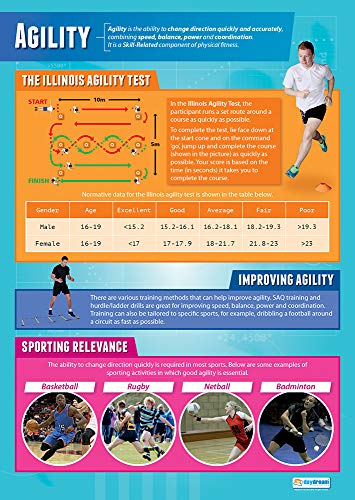 Daydream Education Lernposter „Agility“ (Mobilität) für den Sportunterricht und das Klassenzimmer, Hochglanzpapier, 850 x 594 mm (A1), in englischer Sprache von Daydream Education