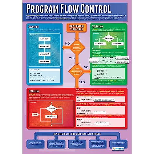 Daydream Education „Program Flow Control“, Wissenschaftsposter, laminiertes Glanzpapier, 850 x 594 mm (A1), Wissenschaftsdiagramme für das Klassenzimmer, Lernposter (evtl. nicht in deutscher Sprache) von Daydream Education