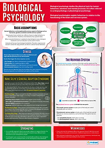 Daydream Education Lernposter „Biological Psychology“ (biologische Psychologie) für das Klassenzimmer, laminiertes Hochglanzpapier, 850 x 594 mm (A1), Psychologie-Poster in englischer Sprache von Daydream Education