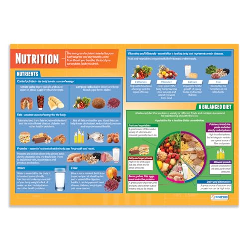 Daydream Education Lernposter „Nutrition“, Poster für den Sportunterricht, Hochglanzpapier, 850 mm x 594 mm (A1), Wandposter für Klassenzimmer von Daydream Education