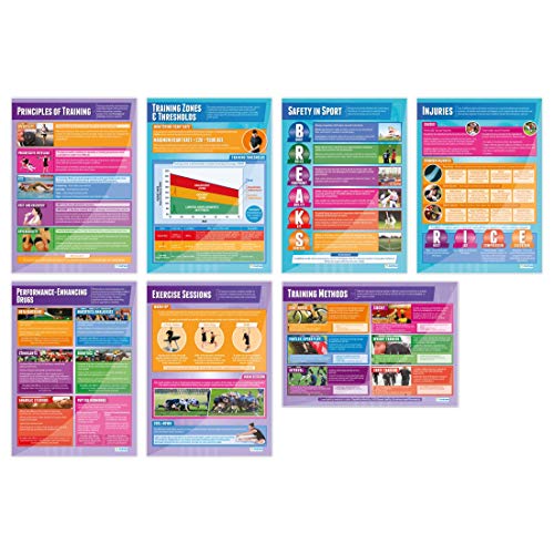 Daydream Education Lernposter „Physical Training Posters“ für den Sportunterricht, laminiertes Hochglanzpapier, 850 x 594 mm (A1) – in englischer Sprache, 7er-Set von Daydream Education