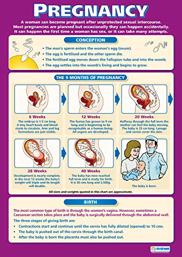 Daydream Education Poster, Hochglanzpapier, 850 mm x 594 mm (A1) von Daydream Education