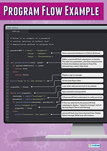 Daydream Education „Program Flow Control Example“, Wissenschaftsposter, laminiertes Glanzpapier, 850 x 594 mm (A1), Wissenschaftsdiagramme für das Klassenzimmer, Lernposter (evtl. nicht in deutscher Sprache) von Daydream Education