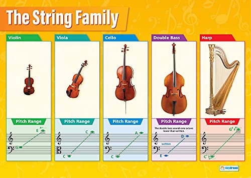 Daydream Education: Saiteninstrumentfamilie, Musikposter, laminiertes Glanzpapier, 850 x 594 mm (A1), Musikposter für das Klassenzimmer, Bildungsposter (englische Version) von Daydream Education