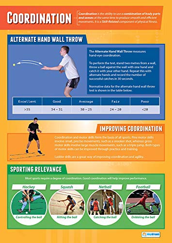 Koordination | PE-Poster | Glanzpapier 850 mm x 594 mm (A1) | Physische Bildungstabelle für das Klassenzimmer | Bildungstabelle von Daydream Education von Daydream Education