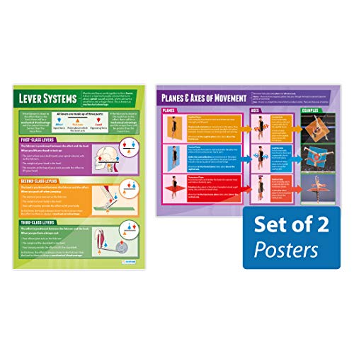 Movement Analysis Posters - Set of 2 | PE Posters | Gloss Paper measuring 850mm x 594mm (A1) | Physical Education Charts for the Classroom | Education Charts by Daydream Education von Daydream Education