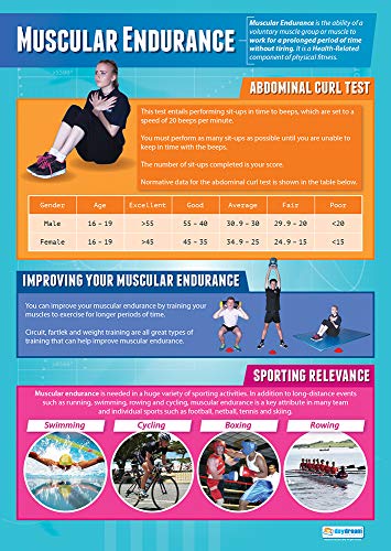 Daydream Education Lernposter „Muscular Endurance“ (Muskelausdauer) für den Sportunterricht und das Klassenzimmer, Hochglanzpapier, 850 x 594 mm (A1), in englischer Sprache von daydream