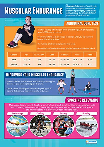 Daydream Education Lernposter „Muscular Endurance“ (Muskelausdauer) für den Sportunterricht und das Klassenzimmer, Hochglanzpapier, 850 x 594 mm (A1), in englischer Sprache von Daydream Education