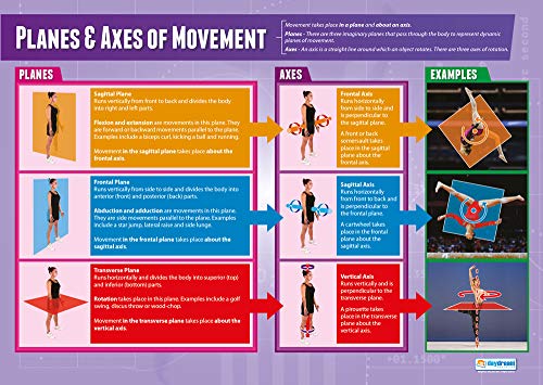 Daydream Education Poster mit Flugzeugen und Achsen der Bewegung, laminiertes Hochglanzpapier, 850 mm x 594 mm (A1), Lehrtafeln für das Klassenzimmer, Bildungstabellen von Daydream Education