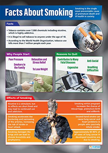 Smoking | PSE-Poster | Glanzpapier 850 mm x 594 mm (A1) | PSE Klassenzimmer-Poster | Bildungstabelle von Daydream Education von Daydream Education