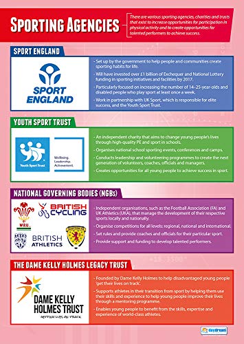 Sporting Agencies Poster für den Sportunterricht, Glanzpapier, 850 mm x 594 mm (A1), Lernposter für das Klassenzimmer Daydream Education von Daydream Education