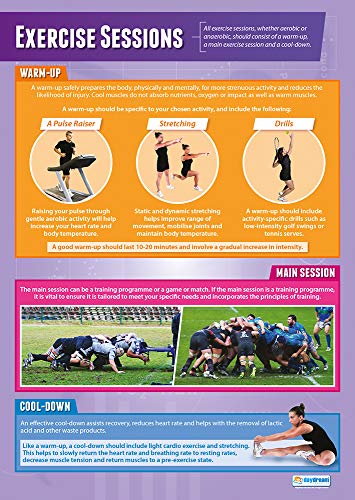 Daydream Education Lernposter „Exercise Sessions“ für den Sportunterricht, Laminiertes Glanzpapier, 850 x 594 mm (A1) – in englischer Sprache von Daydream Education