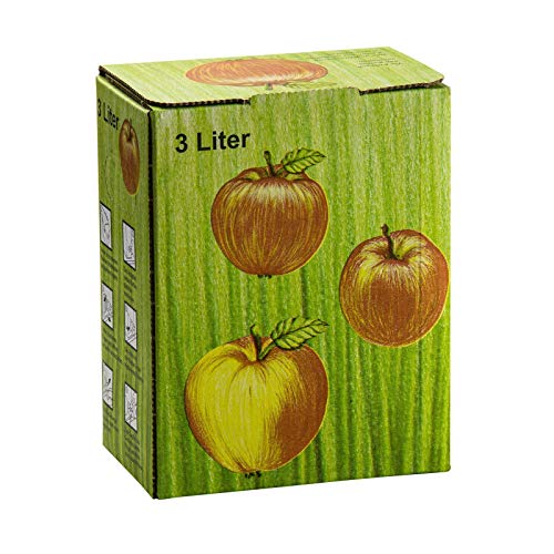 DeTec Bag in Box Karton Apfeldekor Apfelsaft Faltkarton Schachtel Most Saftkarton für Saftlagerung 3-5 - 10 Liter Füllmenge (30 STK, 3 Liter) von DeTec