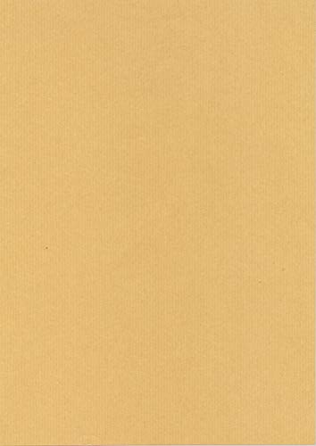 Decadry ALFAC PCL 1596 Kraftpapier, A4, 165 g, 50 Blatt Decadry ALFAC PCL 1596 Kraftpapier, A4, 165 g, 50 Blatt von APLI