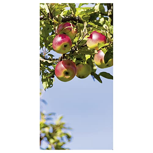 Dekoratives Stoffbanner,Äpfel am Baum' 100 x 200 cm Rot Sommerbanner Textil-Banner Stoff-Display Banner Textil-Poster für Innen & Außen UV-beständig von Deco Woerner