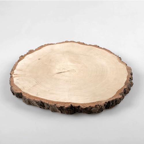 Holz-Birkenscheibe Dekoholz unbehandelt Naturdeko Baumscheibe Birke ca. 30 cm Ø von Deco Woerner