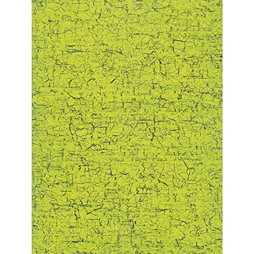 Décopatch Papier No. 301 Packung mit 20 Blätter (395 x 298 mm, ideal für Ihre Papmachés) grün craquelé von Decopatch