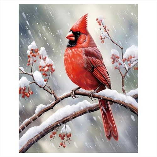 Red Cardinal Malen nach Zahlen-Set für Erwachsene – DIY Vogelmalerei auf Leinwand, Malen-nach-Zahlen-Set für Erwachsene, Acrylfarben-Set für Anfänger, Wildtier-Kunst-Set für Heimdekoration oder Red Cardinal Malen nach Zahlen-Set für Erwachsene – DIY Vogelmalerei auf Leinwand, Malen-nach-Zahlen-Set für Erwachsene, Acrylfarben-Set für Anfänger, Wildtier-Kunst-Set für Heimdekoration oder von DecorFriday