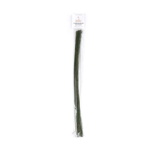 DECORA Blumendraht, Nr, Grün, 28" Floristen-Drähte, 50 Stück, Green-Gauge DECORA Blumendraht, Nr, Grün, 28" Floristen-Drähte, 50 Stück, Green-Gauge von Decora
