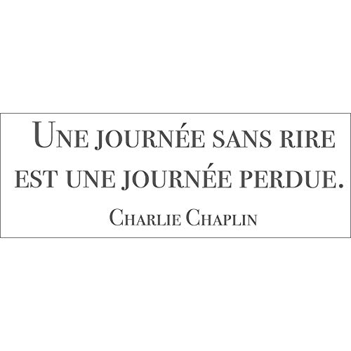 Dekoration, selbstklebend, 152390 C. Chaplin [1 Bogen 24 x 68 cm], Vynil, Grau, 24 x 68 cm von Décoration adhésive