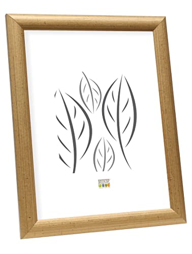 Deknudt Bilderrahmen, Holz, Gold, 10 x15 cm von Deknudt Frames