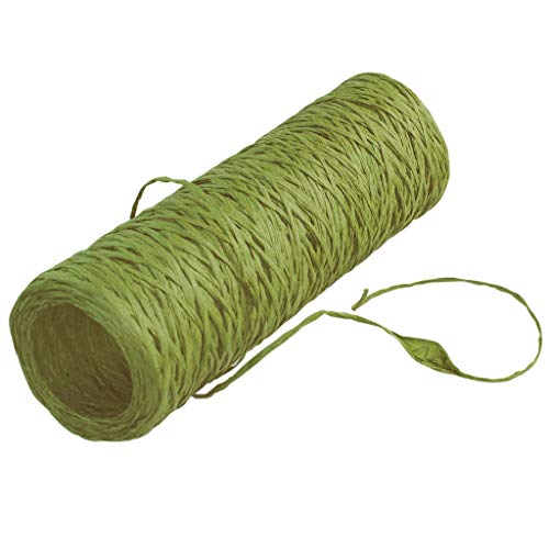 Funny-Paper-Twine - Papierschnur - gefärbt - Dekoband - Bastelband - Geschenkband - Grün - 3 mm Breite - 270 m Länge ca. 300 g - 22227-3-270-60 von Deko AS GmbH