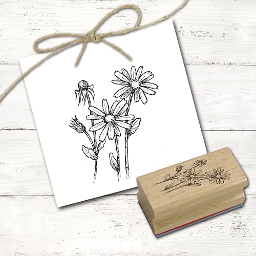 Dekolando Motivstempel Arnika - Stempel Holzstempel Pflanze - Abdruck 38 x 48 mm Dekolando Motivstempel Arnika - Stempel Holzstempel Pflanze - Abdruck 38 x 48 mm von Dekolando