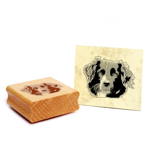 Dekolando Motivstempel Border Collie Stempel Hund Holzstempel 48 x 39 mm Dekolando Motivstempel Border Collie Stempel Hund Holzstempel 48 x 39 mm von Dekolando